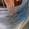 dây thép mạ kẽm chống đổ chuối