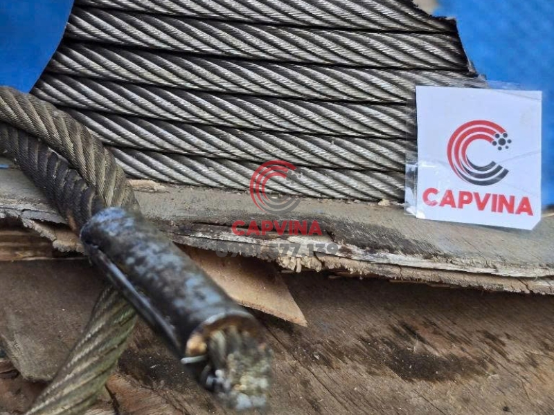 Cáp inox 8x29 IWRC phi 10