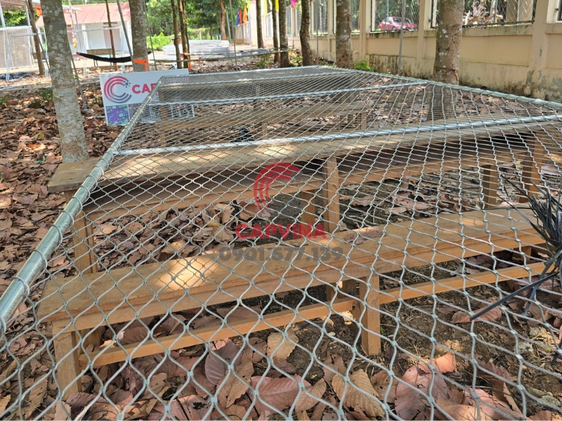 Lưới bảo vệ