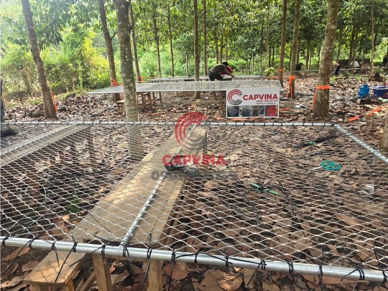 Lưới chống rơi công trình