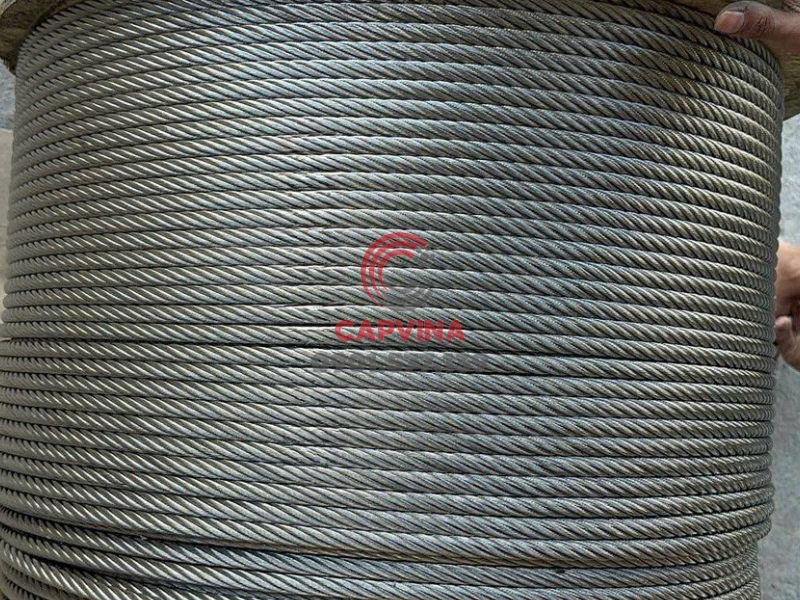 Cáp cứu sinh