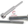 Tăng đơ inox Capvina Standard 04