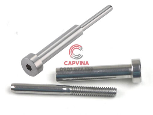 Tăng đơ inox Capvina Standard 04