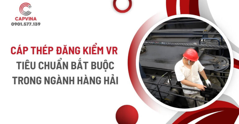 đăng kiểm VR